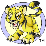 Dycat